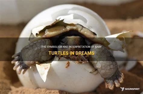 The Intriguing Symbolism of Turtles in Dream Interpretation