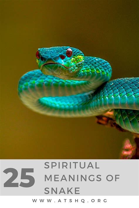 The Intriguing Symbolism of a Miniature Serpent in a Vision