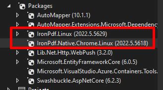 The Issue: Impairing Web Service Connectivity with C# IronPDF on Linux Containerization