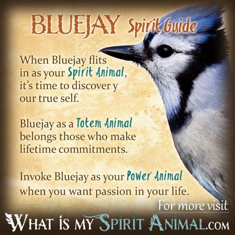 The Jay Bird in Mythology and Folklore