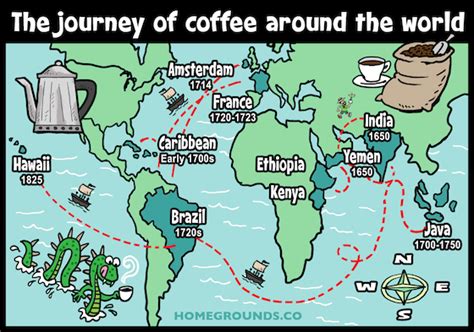 The Journey of Coffee: From Discovery to Global Icon