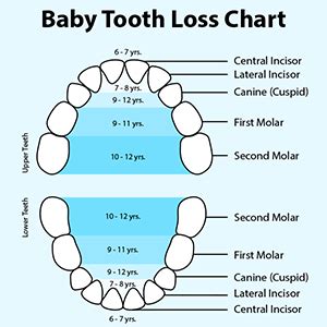 The Joy and Worry of Losing a Baby Tooth