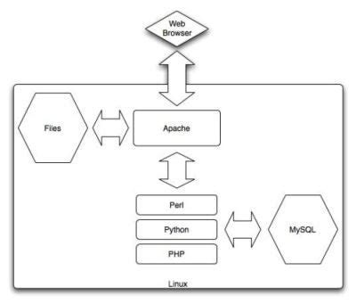 The LAMP Stack: Understanding the Components