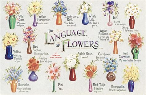 The Language of Flowers: A Captivating Tale of Sentiments