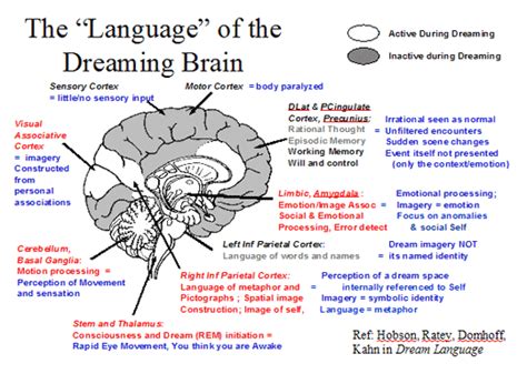 The Link Between Chilled Frontal Areas during Dreaming and Emotional Detachment