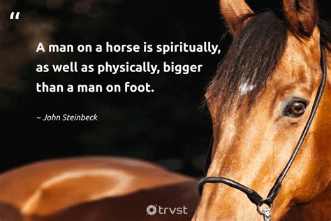 The Link Between Horses and Personal Development