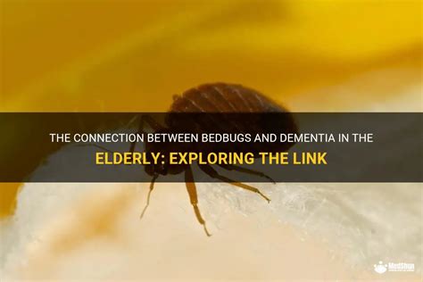 The Link between Bedbugs and Restlessness: Exploring the Connection to Sleep Disorders