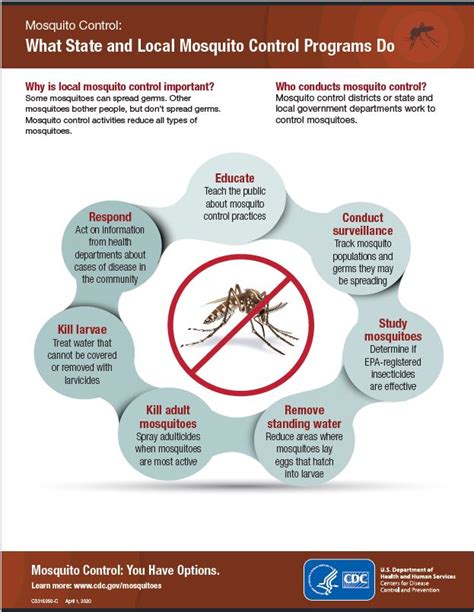 The Link between Eliminating Mosquitoes in Dreams and Gaining Control over One's Life