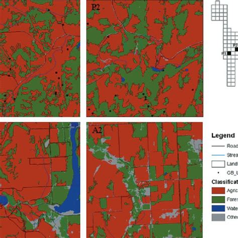 The Link between a Bear's Presence and Personal Relationships