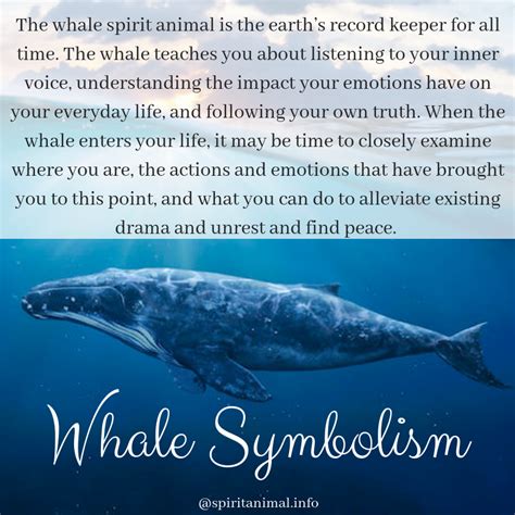 The Majesty and Influence of Whales: Examining the Symbolic Meaning in Dreams