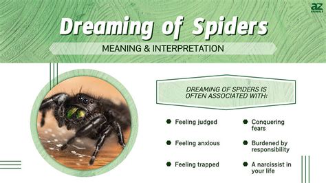 The Masculine Perspective: Delving into Spider Dreams and Gender Identity