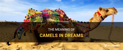 The Meaning Behind Camels