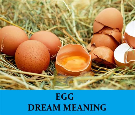 The Meaning Behind Dreaming of a Putrid Egg in Women's Lives