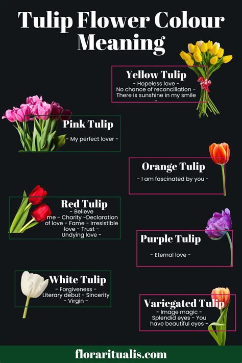 The Meaning Behind Tulip Flower Symbolism in Dreams