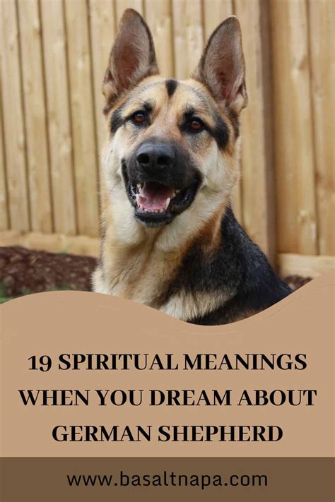 The Meaning Behind a German Shepherd in Your Dream