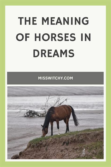 The Meaning Behind the Loffa Horse in Dreams