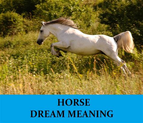 The Meaning of a Horse in Your Dream