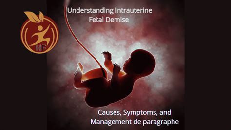 The Medical Perspective: Understanding the Possible Causes of Fetal Demise