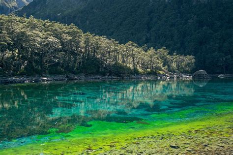 The Mesmerizing Shades of Blue in the Blue Lake