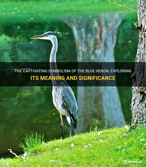 The Mysterious Significance of a Heron in a Woman's Vision