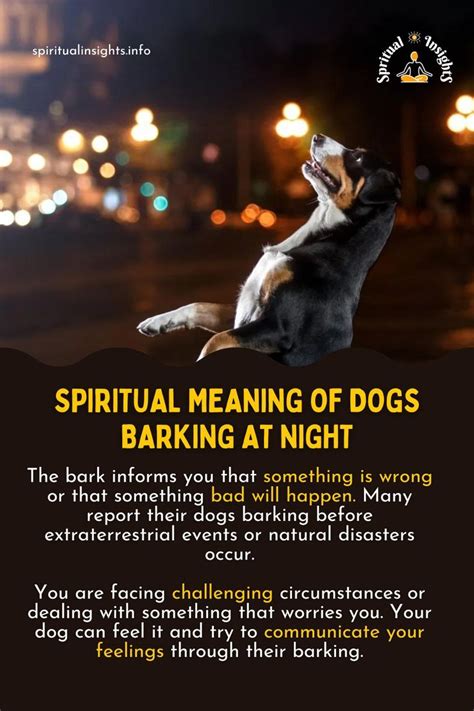 The Mystical Connection: Understanding the Spiritual Bond with Your Departed Canine Companion