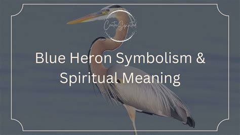 The Mystical Symbolism of Herons in Dreams