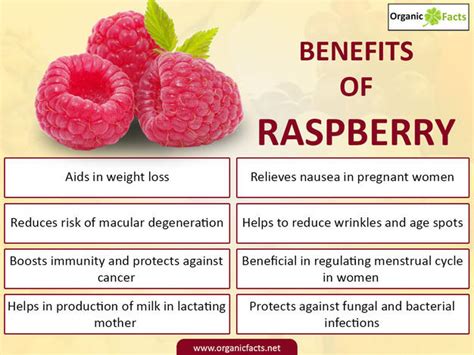 The Nutritional Powerhouse: Health Benefits of Raspberry