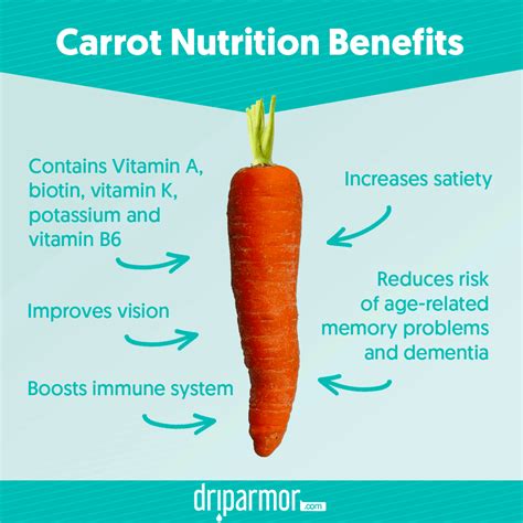 The Nutritional Powerhouse: How Carrots Boost Your Health and Well-being