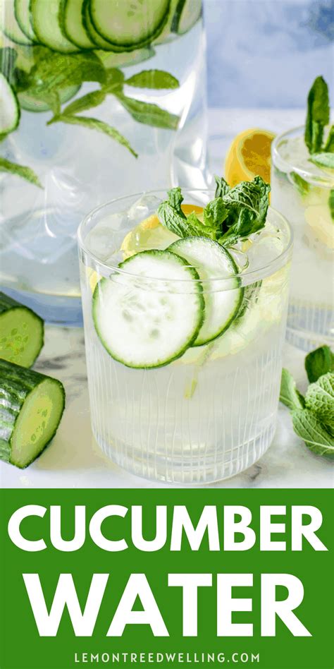 The Perfect Recipes for Cucumber-Infused Beverages Before Sleep