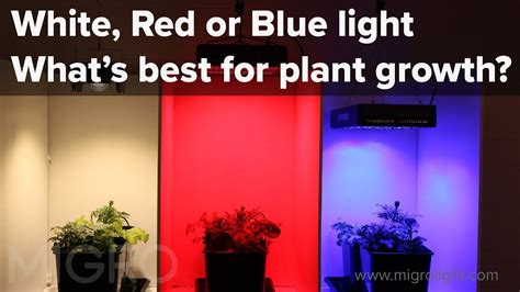 The Phenomenon of Red Illumination