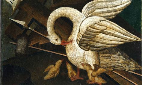 The Pink Pelican in Ancient Mythology and Religion