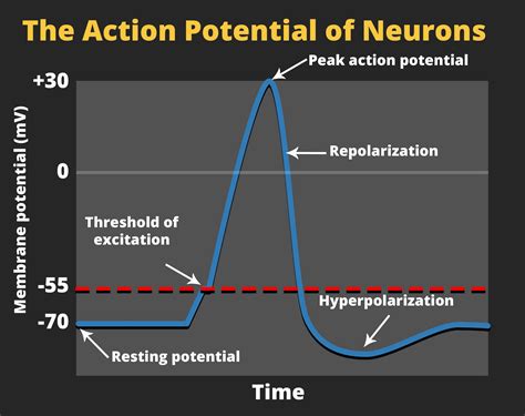 The Potential Psychological Interpretations