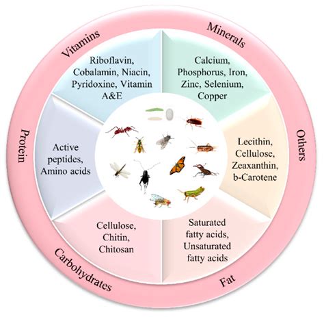 The Potential Therapeutic Benefits of Insects in Interpretation of Dreams