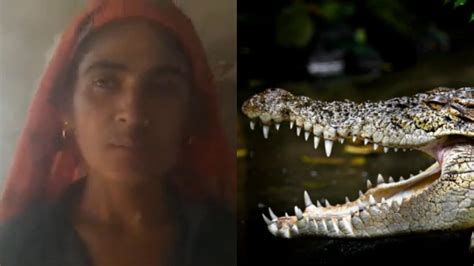 The Power Struggle: Unraveling the Dynamic between a Woman and a Crocodile