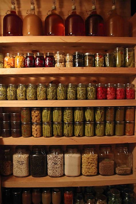 The Power of Preservation: The Benefits of Freezing and Canning for a Well-Stocked Pantry