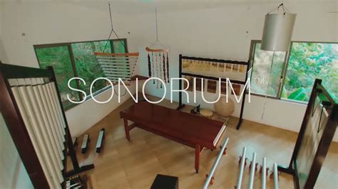 The Power of Sound: Healing and Transformation in the Enchanting Echo Sonorium