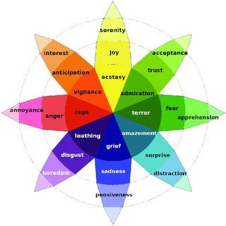 The Power of a Smile: Analyzing the Emotions Elicited by the Gentleman's Brillant Expression