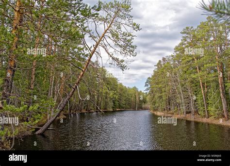 The Pristine Splendor of Siberia