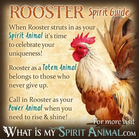 The Profound Significance Hidden within the Rooster Vision