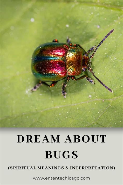 The Psychological Impact of Dreaming about Enormous Bugs