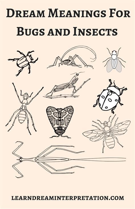 The Psychological Impact of a Troubling Dream: Insects as Symbols of Intrusive Thoughts