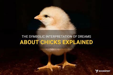 The Psychological Interpretation of Chicks as a Symbolic Gift