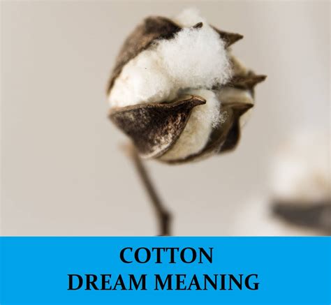 The Psychological Interpretation of Dreaming About a Cotton Field