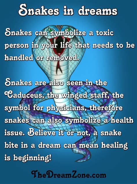 The Psychological Interpretation of Serpent Dreams