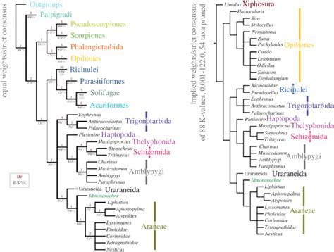 The Psychological Significance of Azure Arachnids in Oneiric Analysis