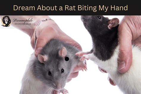 The Rat Dream: Delving into Insights about Her Hidden Desires