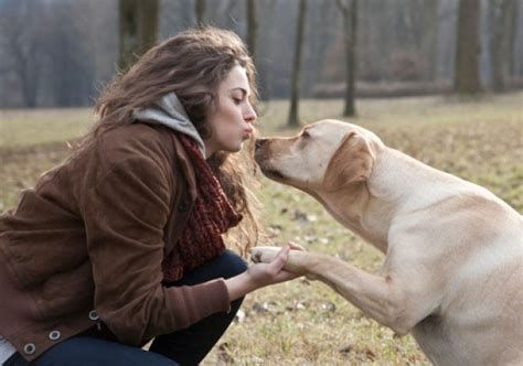 The Relationship Between Females and Large Canines in Dreams