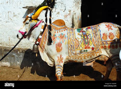 The Reverence of Cows in Hindu Beliefs