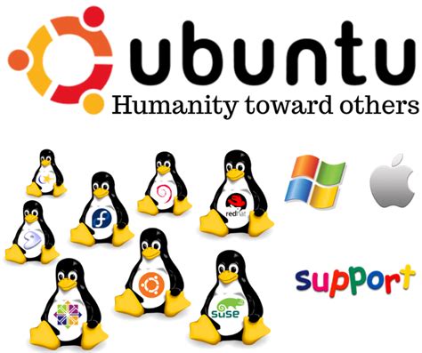 The Rise of Ubuntu: Why It's the Leading Choice