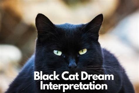 The Role of Black Cats in Dream Analysis and Freudian Psychology